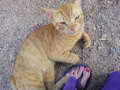 20130430_144105.jpg