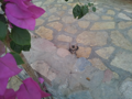 20130430_144105.jpg
