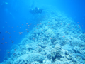 20130430_144105.jpg