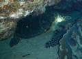20130430_144105.jpg