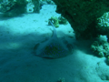 DSCN5458.JPG