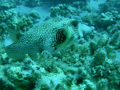 DSCN5458.JPG