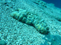 20130430_144105.jpg