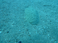 20130430_144105.jpg