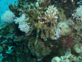 20130430_144105.jpg