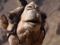 DSCN5458.JPG